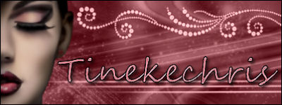 banner+psp+fans.jpg