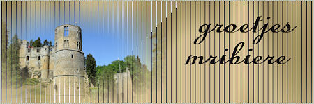 banner.jpg