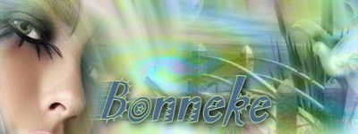 banner2.jpg