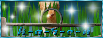 bannerthebattle2012.jpg