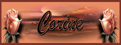 banner.jpg