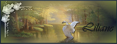 banner+liliane.jpg